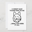 Search for herding cards Border collie