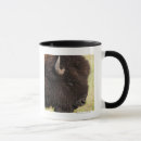 Search for american bison mugs Nature