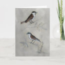 Search for aviary cards Perched