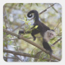 Search for wild side stickers Outdoors