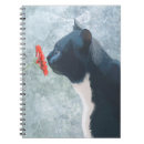 Search for black cat notebooks Animals