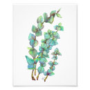 Search for leaf vegetable posters Leaves