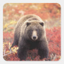 Search for np stickers Season
