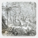 Search for amazon square stickers Jungle