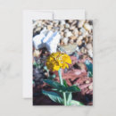 Search for mothe cards Cute