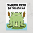 Search for new pad postcards Cute