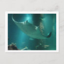 Search for atlantis horizontal postcards Bahamas