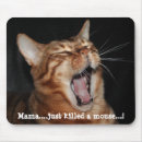 Search for for freddie electronics Cat