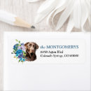 Search for chocolate labrador return address labels Animal