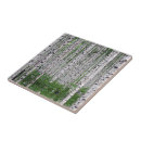 Search for birch tree tiles Nature