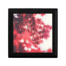 Search for red maple gift boxes autumn