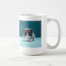 Search for curiosity drinkware Cat