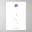 Search for bachelor art Elegant