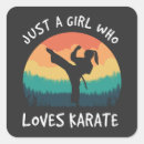 Search for taekwondo fighter stickers Karate