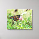 Search for entomology art Wildlife