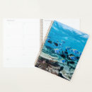 Search for dive office supplies Fish