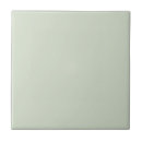 Search for mint green color tiles Plain