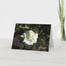 Search for pale rose cards Yellow