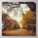 Search for autumn in the park posters Leaves
