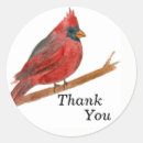 Search for watercolor cardinal bird stickers Nature