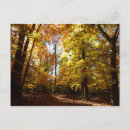 Search for fall scene horizontal postcards Forest