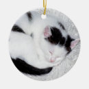 Search for white house christmas tree decorations Black and white