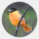 Search for oriole stickers Baltimore