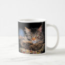 Search for bad cat mugs Grumpy