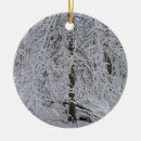 Search for storm christmas tree decorations Forest