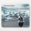 Search for whaling mouse mats Wildlife