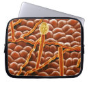 Search for fungus electronics Botany