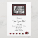 Search for lady bug birthday invitations Little