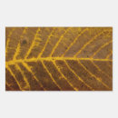 Search for leaf patterns stickers Nature