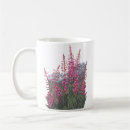 Search for fireweed mugs Alaska