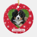 Search for cute dog christmas tree decorations Snowflake