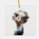 Search for emu home decor Funny