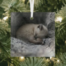 Search for curl christmas tree decorations Curled up