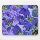 Search for larkspur electronics Blue