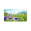 Search for wild iris Nature