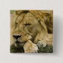 Search for panthera badges Wildlife