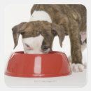 Search for dishes stickers Food and drink