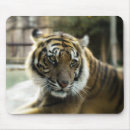 Search for big picture mouse mats Wild animals