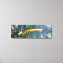 Search for fighter canvas prints Ww2
