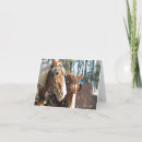 Search for blank christmas note cards Horse