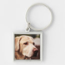 Search for canis key rings Carnivore