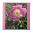 Search for garden wall tiles Nature