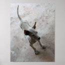 Search for ridgebacks posters Cute
