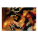 Search for wildlife posters Cat