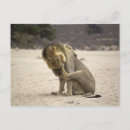Search for cleans postcards Nature