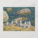 Search for seagull postcards Birds